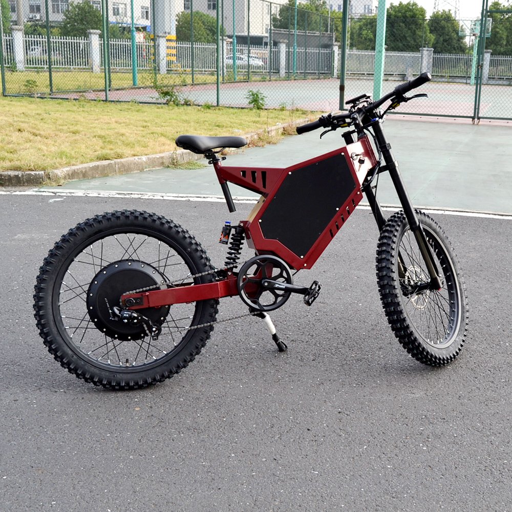 New Fashion Online E-bike manufacturer 48v two wheel watts adults e bike electric dirt bike turtle tire electric bicycle ebike