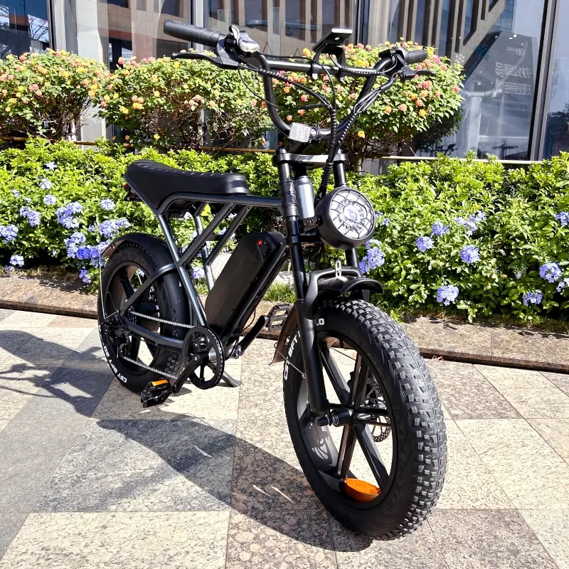 EU Stock Original V8 48V 1000W Motor Electric Bike ebike 15Ah Lithium Battery Mountain Snow Ebike Fat Tire Electric Bicycle