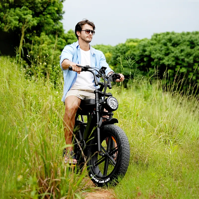 EU Stock Original V8 48V 1000W Motor Electric Bike ebike 15Ah Lithium Battery Mountain Snow Ebike Fat Tire Electric Bicycle