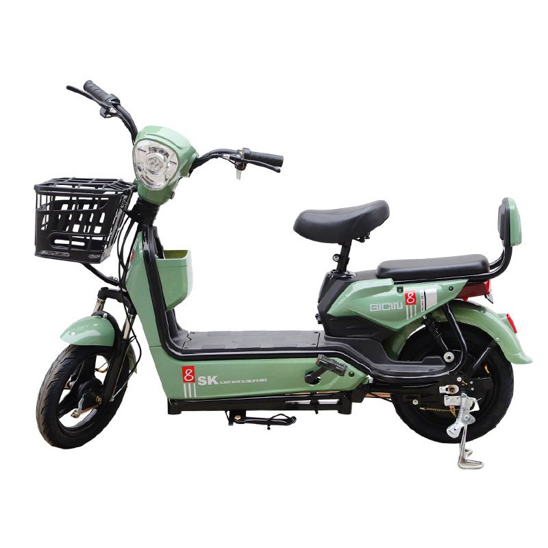 Cost Effective Electric Bicycle 350W Brushless Ebike Adult 48V20Ah Two Wheel Electric Bike