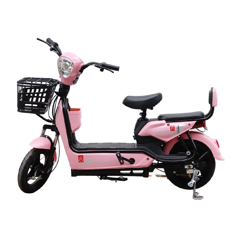Cost Effective Electric Bicycle 350W Brushless Ebike Adult 48V20Ah Two Wheel Electric Bike