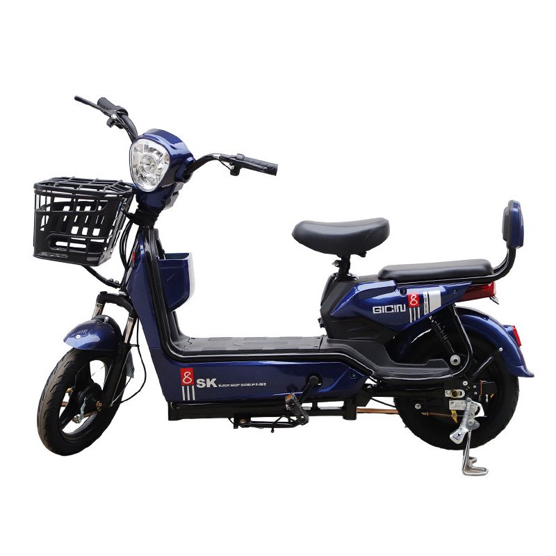 Cost Effective Electric Bicycle 350W Brushless Ebike Adult 48V20Ah Two Wheel Electric Bike