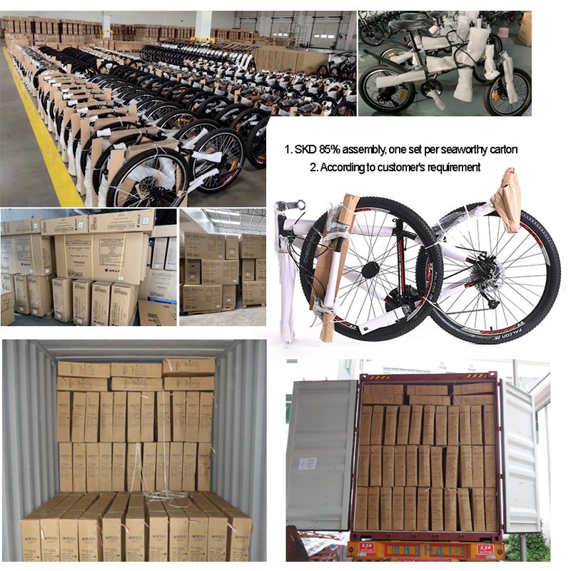 2021 top quality mountain capable bike 48v 500w high end famous brand battery electric bike