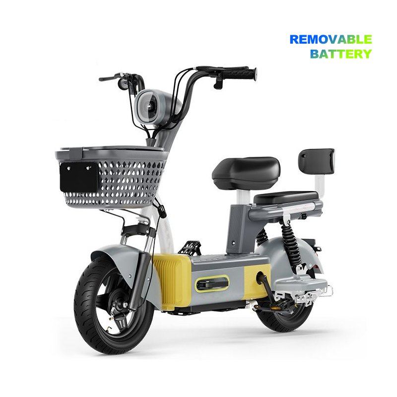 Low Price High Quality Electric Bicycle E Bike Electric City Bike for 2 Seats Electric Scooter small motorcycle