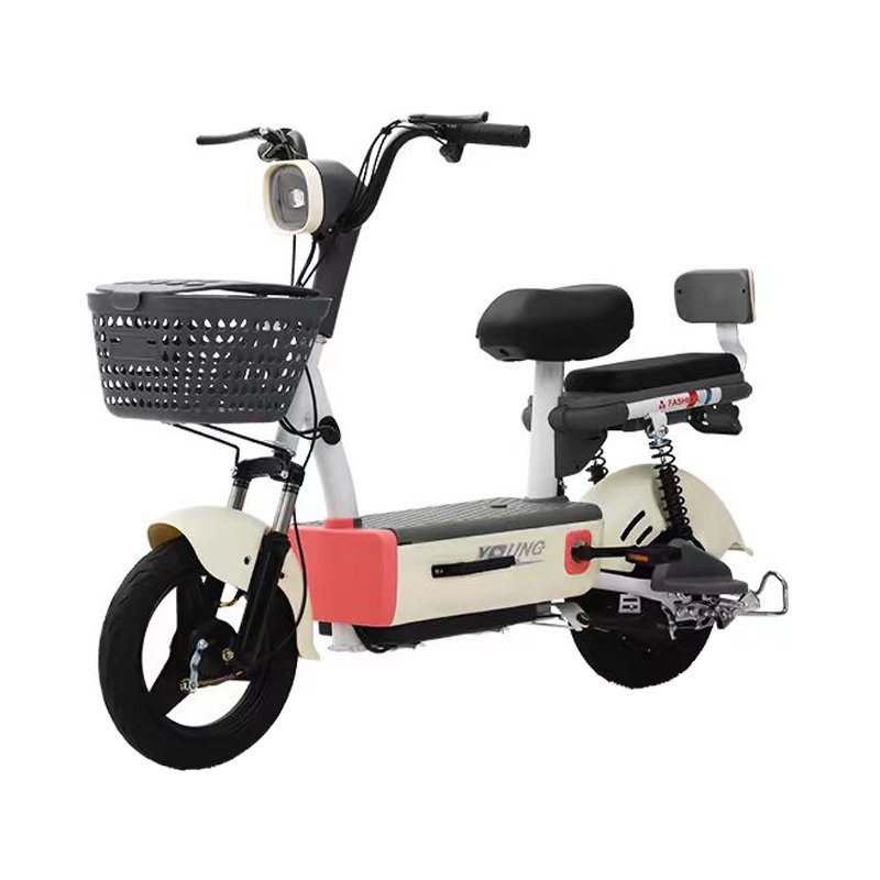 Low Price High Quality Electric Bicycle E Bike Electric City Bike for 2 Seats Electric Scooter small motorcycle