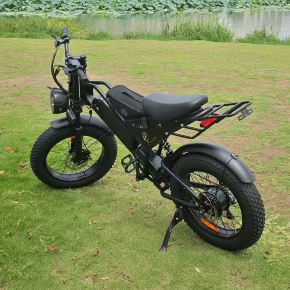 2024 Hot Sale Warehouse Electric Bike 250W 750W 1000W Cycle 25km/h Bicycle Mountain Electric Bike