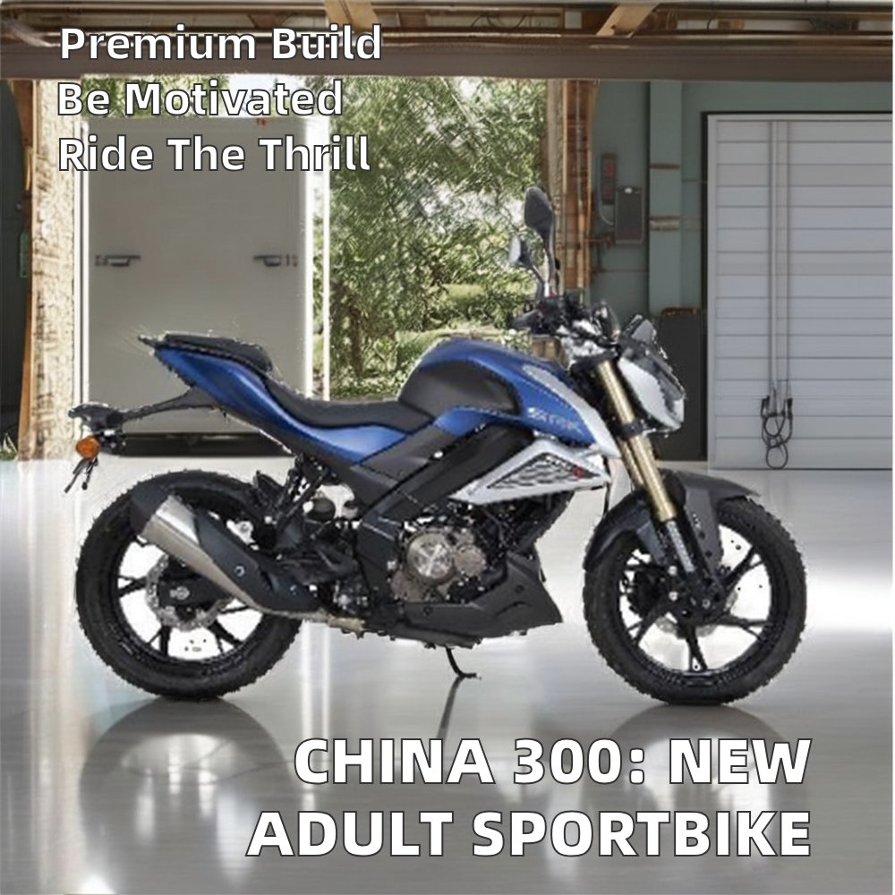 Brand New Adult Two-Wheel Road Sportbike Made in China 300