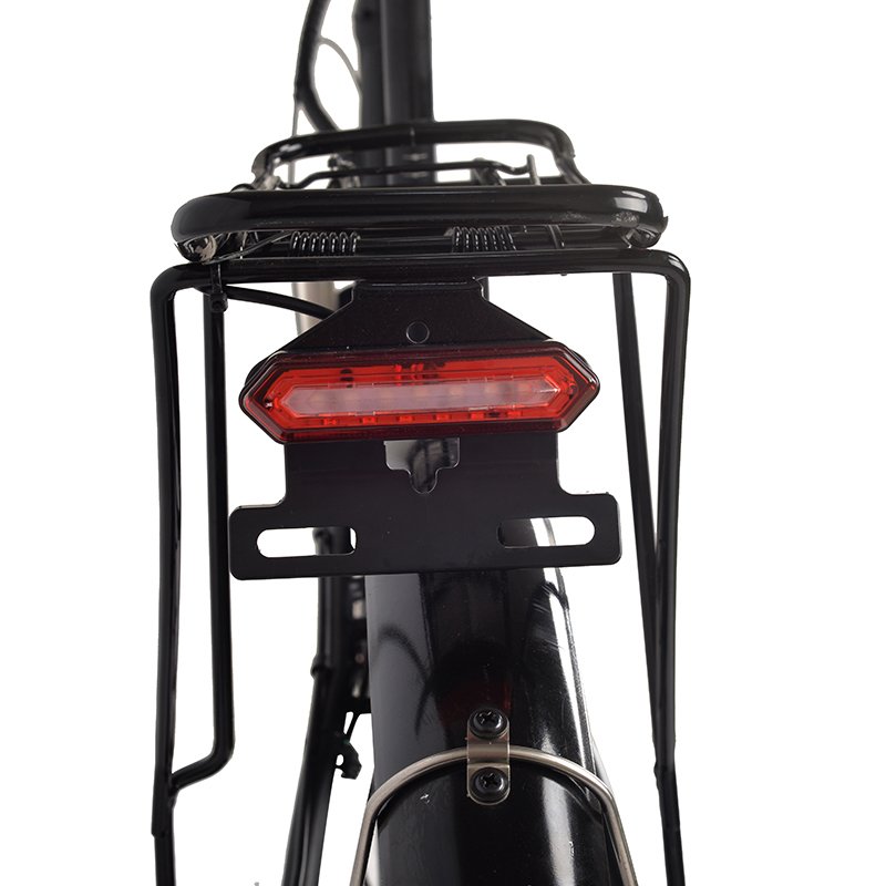 Hot Sell LC900 26 inch 48V 10.5Ah mountain foldable 250w High Speed Rear Drive Brushless Gear Hub fat tire electric