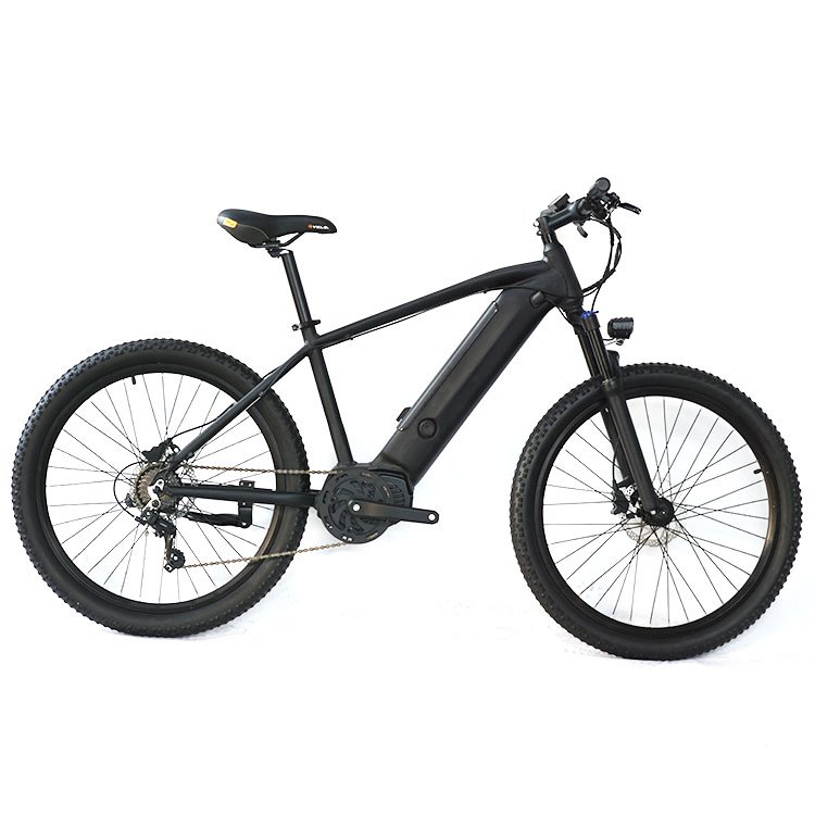 TDA-04 boxu 250w torque sensor central motor mid drive electric mountain bike
