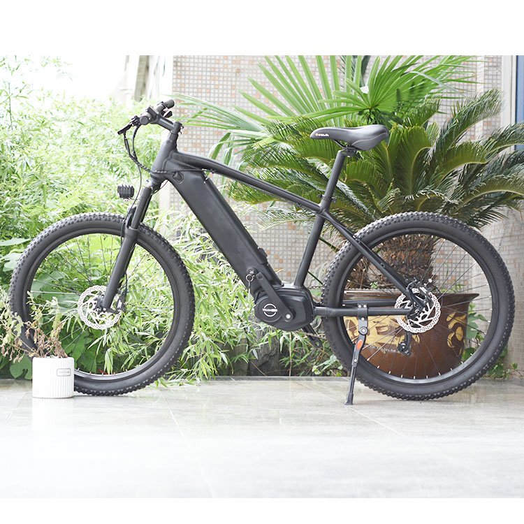 TDA-04 boxu 250w torque sensor central motor mid drive electric mountain bike