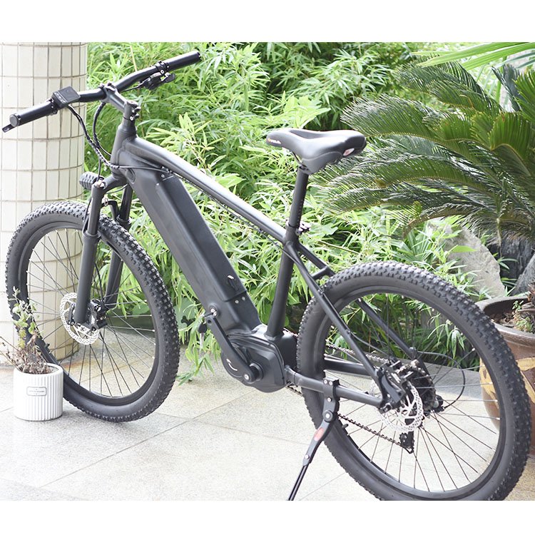 TDA-04 boxu 250w torque sensor central motor mid drive electric mountain bike