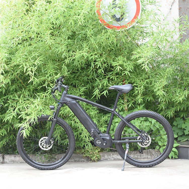 TDA-04 boxu 250w torque sensor central motor mid drive electric mountain bike
