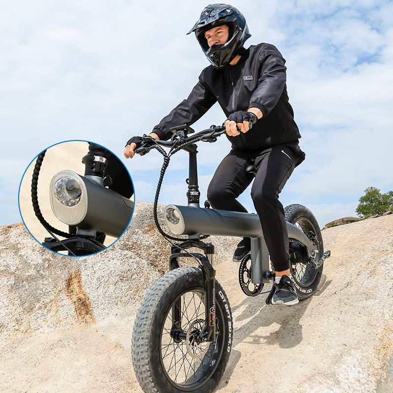 USA 24-Hour Shipping 750-Watt Fat Tire Electric Bike 45 km/h Big Tyre 48V Charging Disc Brake Electric City Bike Cargo Use