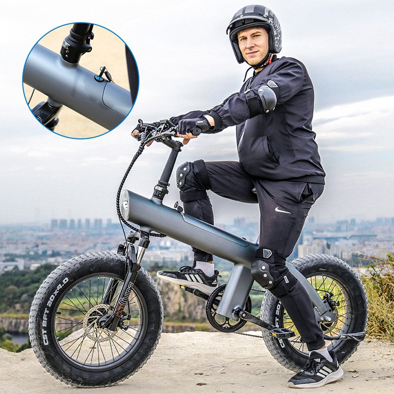 USA 24-Hour Shipping 750-Watt Fat Tire Electric Bike 45 km/h Big Tyre 48V Charging Disc Brake Electric City Bike Cargo Use