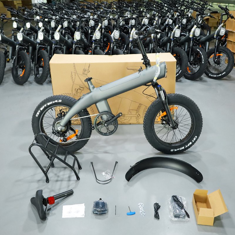 USA 24-Hour Shipping 750-Watt Fat Tire Electric Bike 45 km/h Big Tyre 48V Charging Disc Brake Electric City Bike Cargo Use