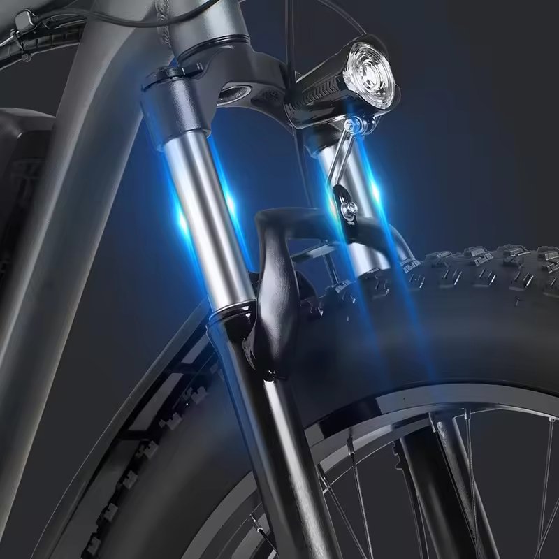 Ridstar E26 Electric Bike Adult Electric Bike 1000w Electric Mountain Bike
