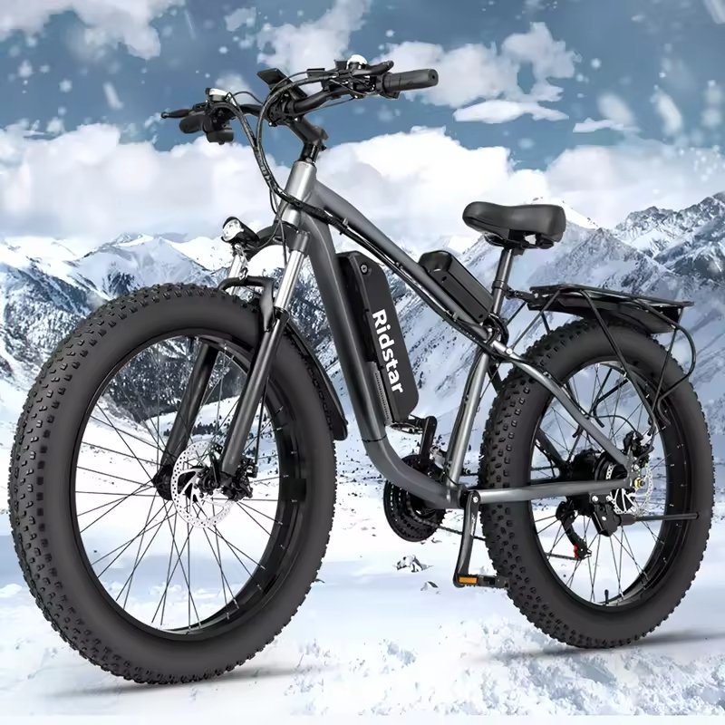 Ridstar E26 Electric Bike Adult Electric Bike 1000w Electric Mountain Bike