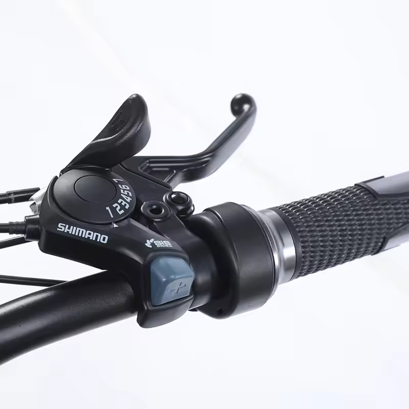 Factory custom electric mountain bike 48v 300/500w e bike fatbike 26*4.0 bike Cheap bici-elettrica
