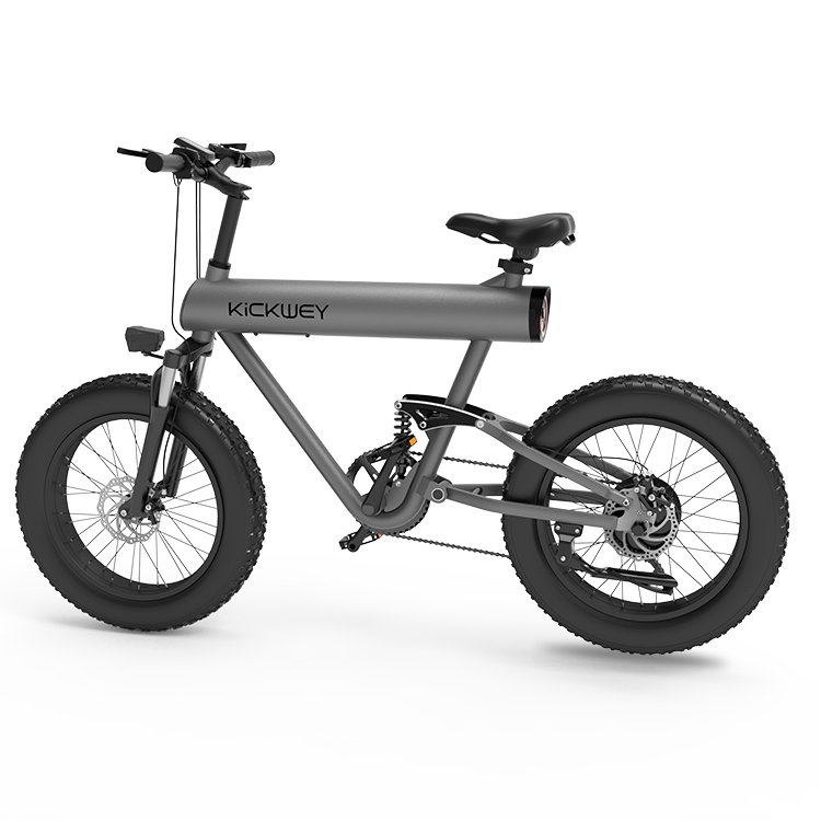 Kickwey K20 Ultra1000W 48V Mid Drive Motor 18650 Lithium Battery Electric Bike for mountain or fat tire bike