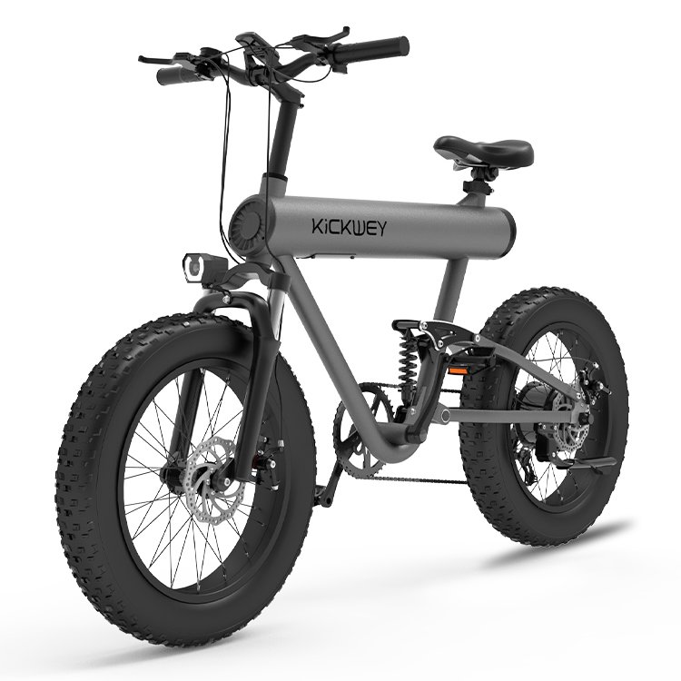 Kickwey K20 Ultra1000W 48V Mid Drive Motor 18650 Lithium Battery Electric Bike for mountain or fat tire bike