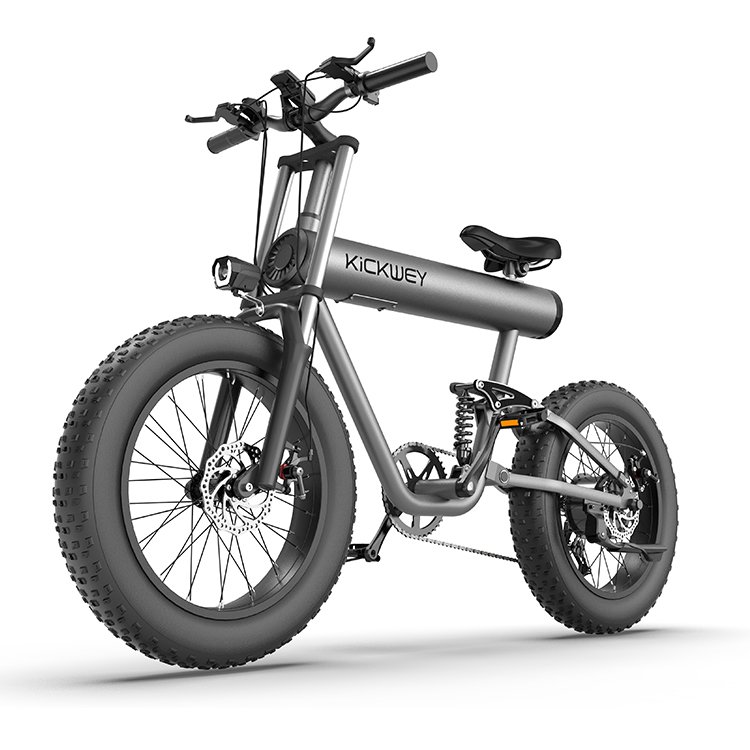 Kickwey K20 Ultra1000W 48V Mid Drive Motor 18650 Lithium Battery Electric Bike for mountain or fat tire bike