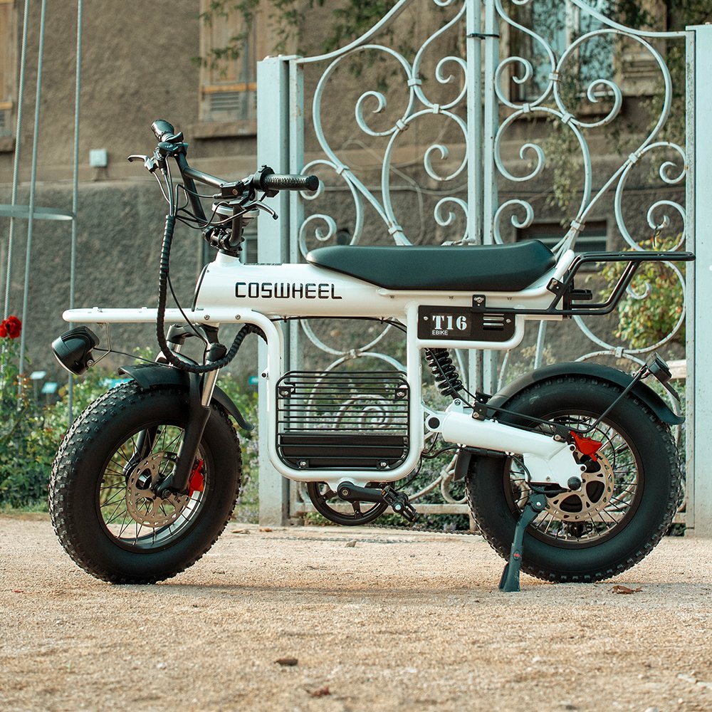 Coswheel Electric Bicycle Scooter Adults Electric City Bike Retro Small Electric Bike Factory Bicycle Long Range Electric Bike