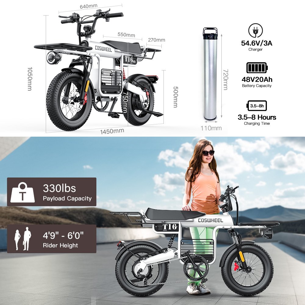 Coswheel Electric Bicycle Scooter Adults Electric City Bike Retro Small Electric Bike Factory Bicycle Long Range Electric Bike