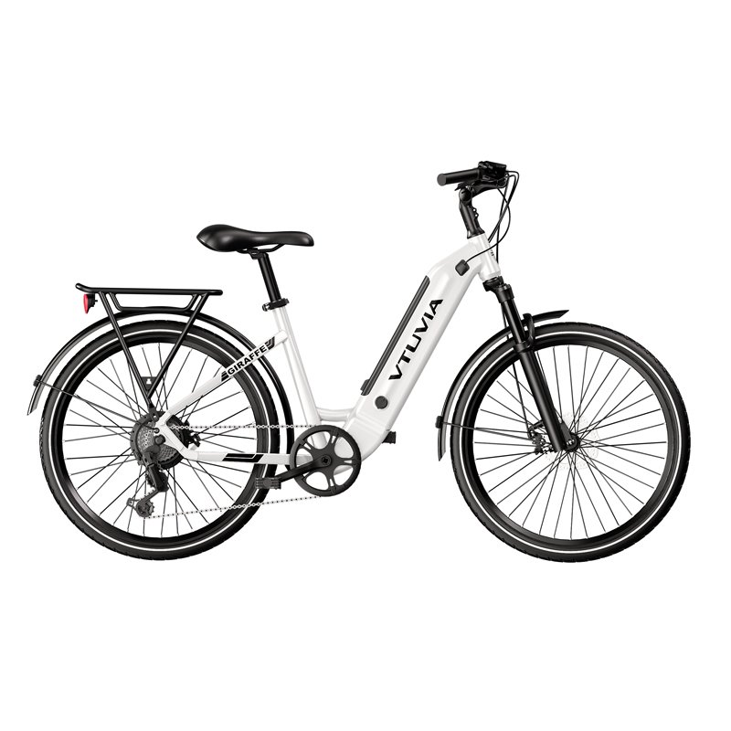 Buy electric city bike 2 seat electric bike with lithium battery usa warehouse fast delivery 36v 48v city ebike