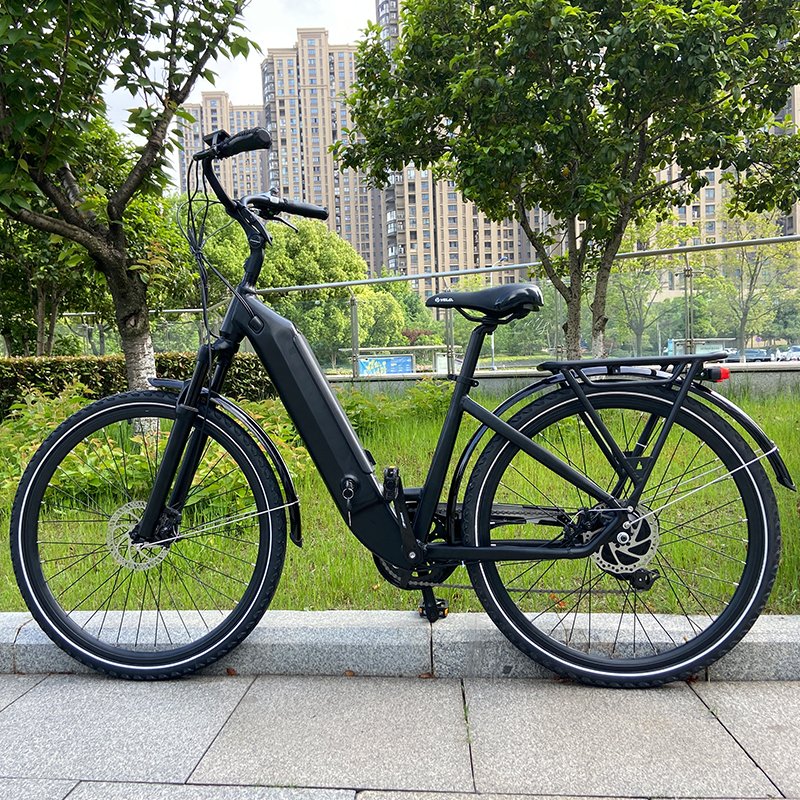 Buy electric city bike 2 seat electric bike with lithium battery usa warehouse fast delivery 36v 48v city ebike