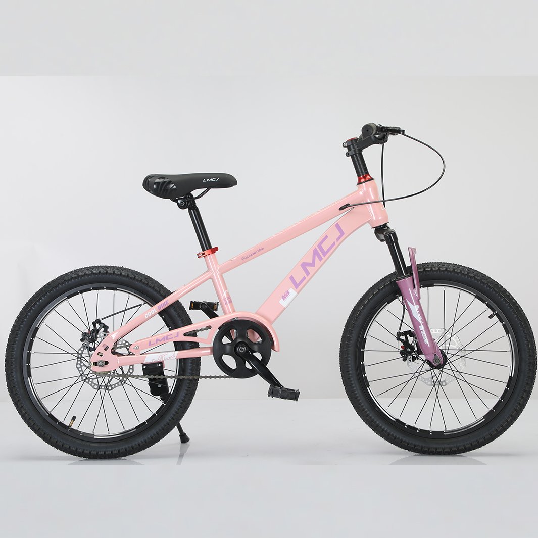 2024 NEW kids 18/20/22 inch boys mountain bike for kids bicycle made in china.
