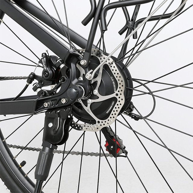 700 36v 250w Rear Motor Electric City Bike E-Bike Pedal Assisted Hidden Battery Electric Bicycle
