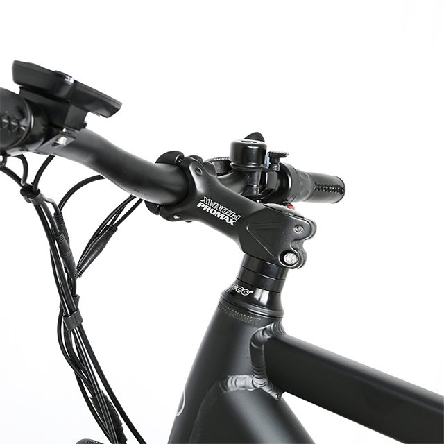 700 36v 250w Rear Motor Electric City Bike E-Bike Pedal Assisted Hidden Battery Electric Bicycle