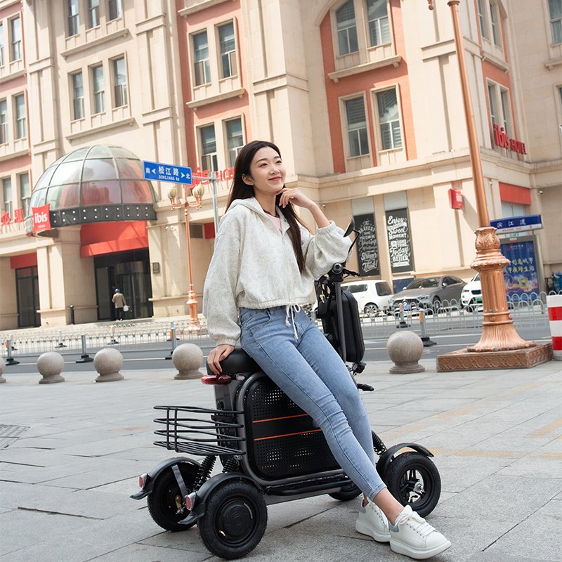YIDI pet ebike 500w 1000w electric cargo bicycle four wheel electric city bike