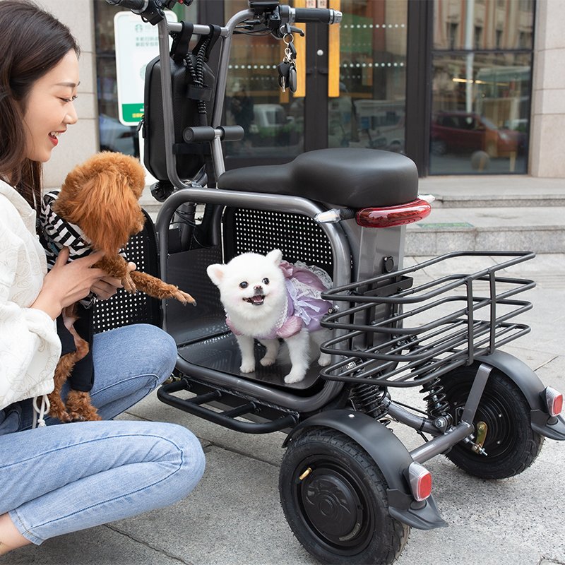 YIDI pet ebike 500w 1000w electric cargo bicycle four wheel electric city bike