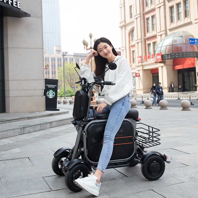 YIDI pet ebike 500w 1000w electric cargo bicycle four wheel electric city bike
