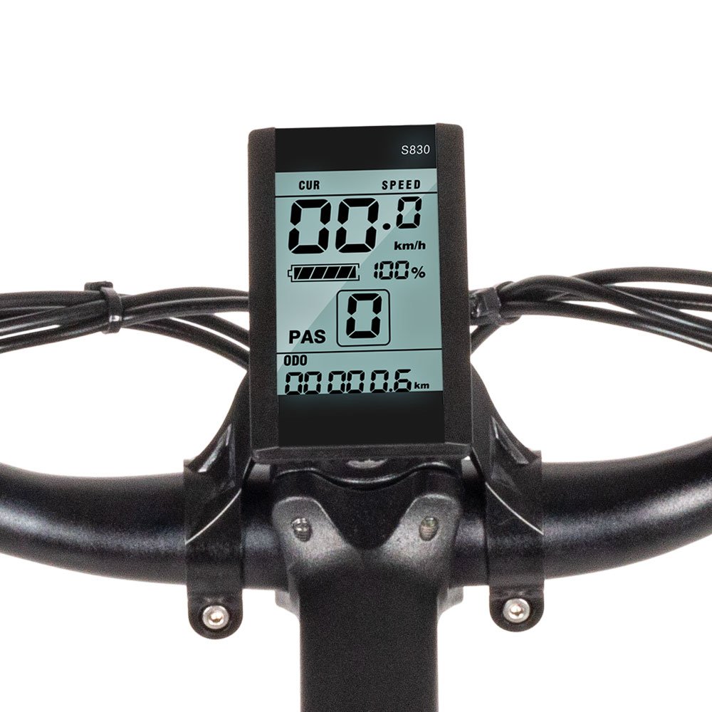 OEM brand available 21 Speed 250w 48v mountain style down tube 250w electric bike