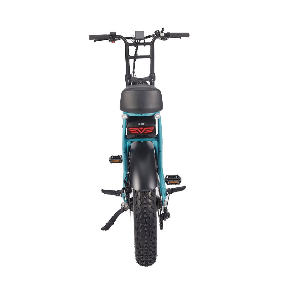 20*4.0inch Fat Tire Electric Bike Aluminum Alloy Frame Bicycle Super Electric Dirt Bike 73 For Young Man