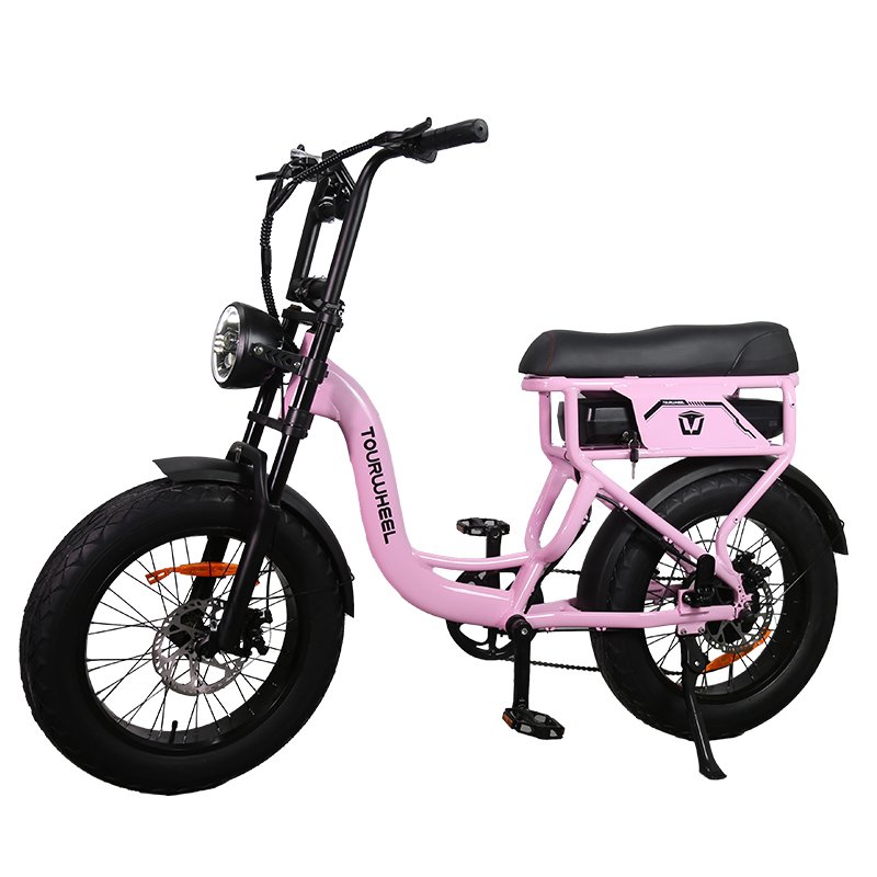 Tourwheel T7 20inch Fat Bike NL Regulation 250W 18.2Ah Step Through Electric Hybrid Bike Fat Tire MTB Mountain ebike