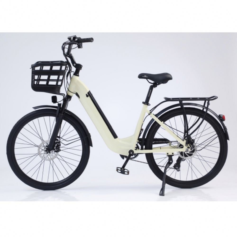 Factory Direct 48v1000w Electric City & Mountain Bike Low Price Electric Bike