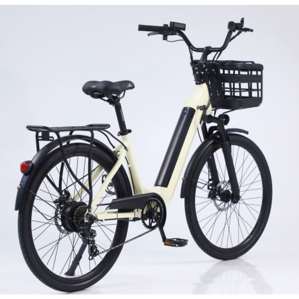 Factory Direct 48v1000w Electric City & Mountain Bike Low Price Electric Bike