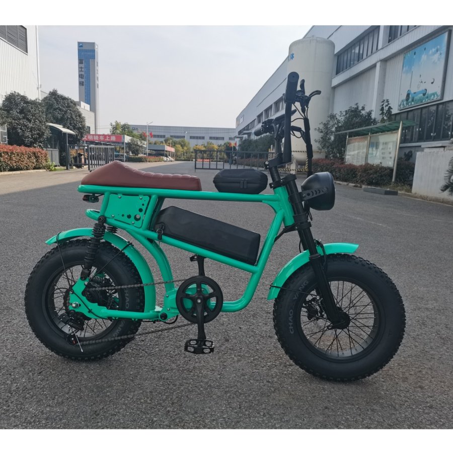 Electric Delivery Bike16x4 Inch 48V 20Ah Lithium Battery Fat Tire Electric Mountain Super Ebike