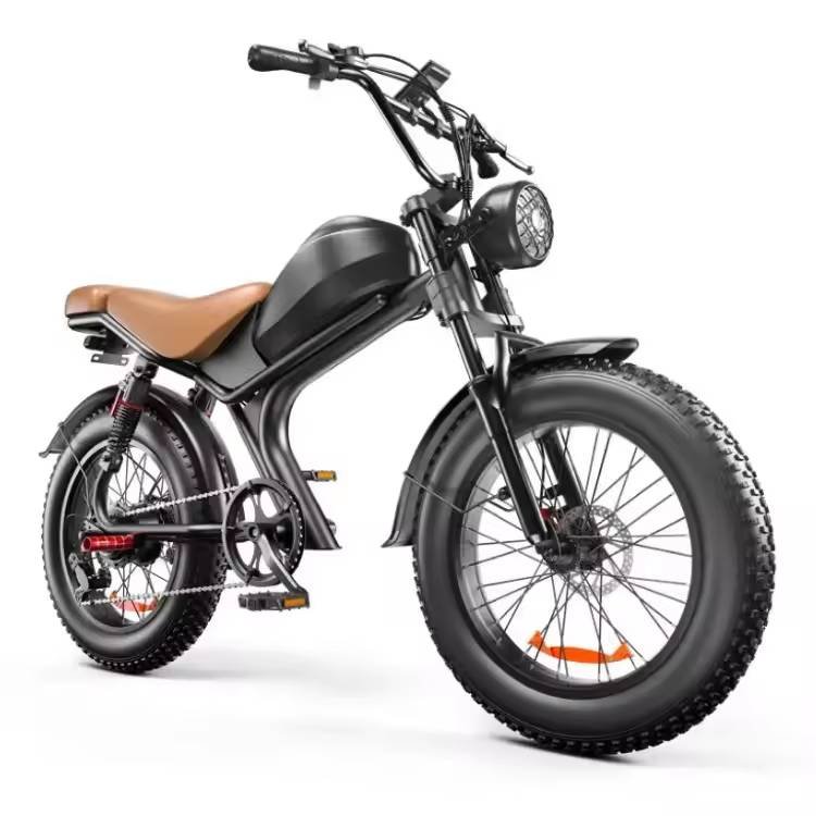 High Speed Mountain Electric Bike 1000w 48V 20inch off Road Electric Bike Electric City Bike