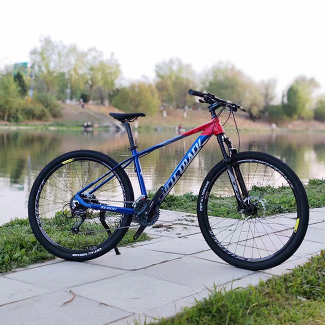 Cycletrack CK-XC600 MTB Racing Bicycle Aluminum Professional MTB Alloy 29 Inch Mountain Bike for Adult Player