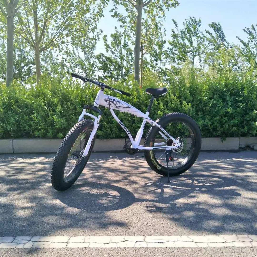Fat tire electric Mountain E bike electric bike Aluminum frame electric snow bicycle 21 speed electric mountain bike