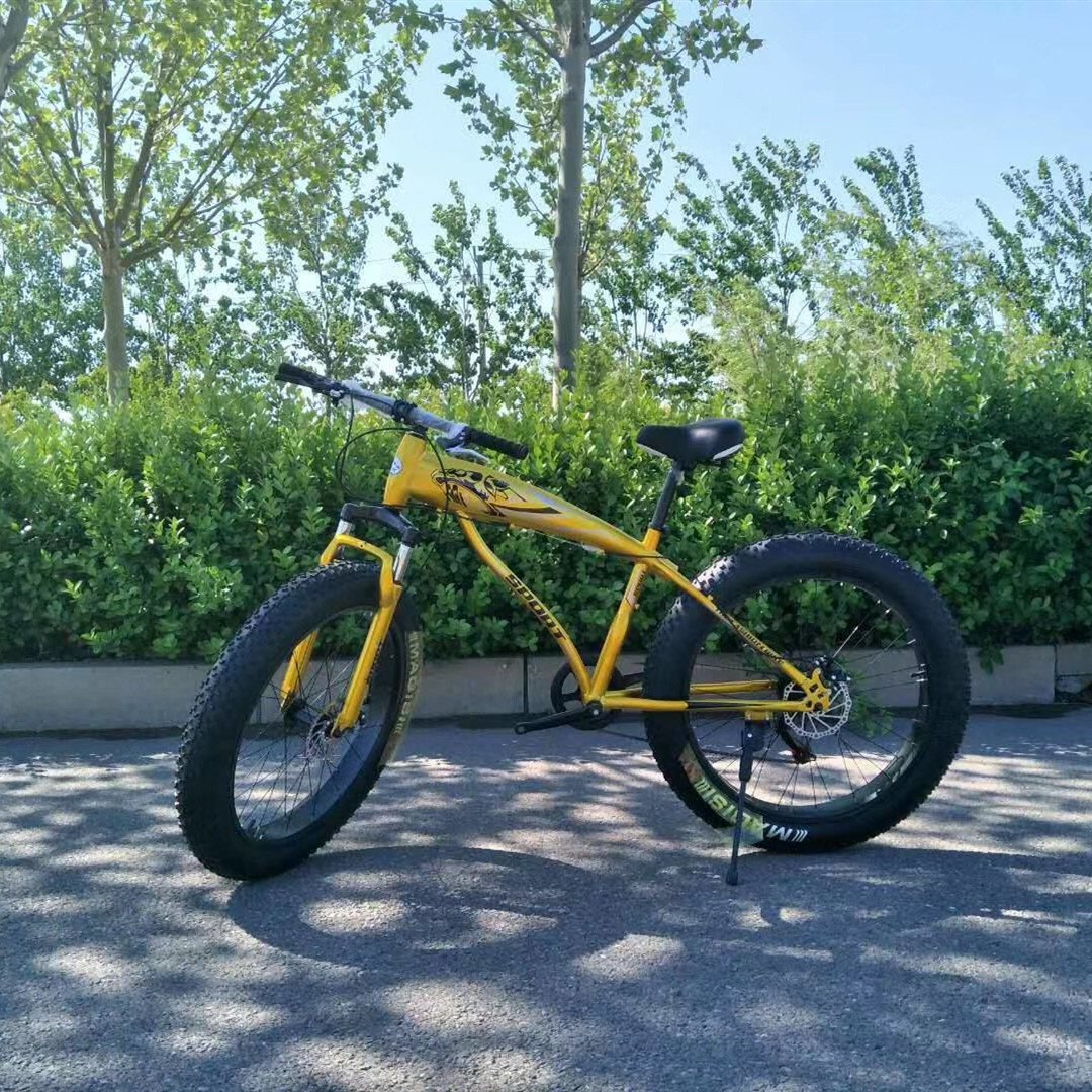 Fat tire electric Mountain E bike electric bike Aluminum frame electric snow bicycle 21 speed electric mountain bike