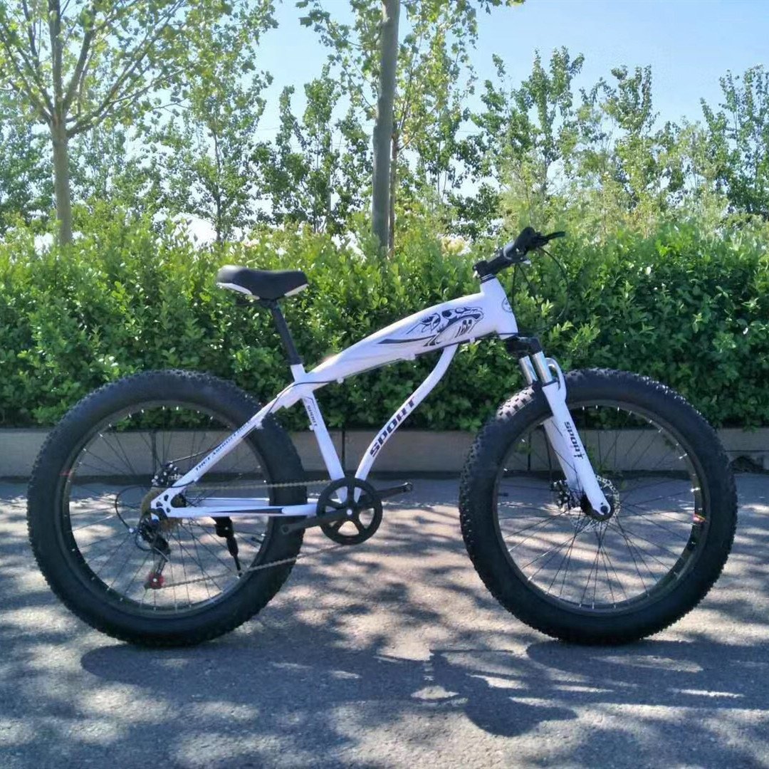 Fat tire electric Mountain E bike electric bike Aluminum frame electric snow bicycle 21 speed electric mountain bike