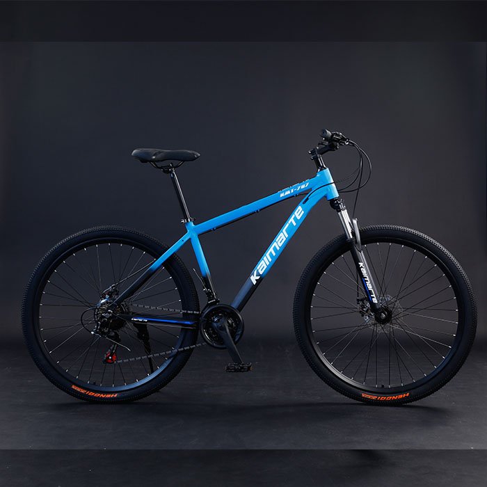 2021 New Model 29 Inch Mountain Bike China's Cheap Alloy Frame Bicicleta Mtb with Steel Fork & Disc Brake Speed Model Cycle
