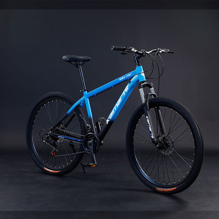 2021 New Model 29 Inch Mountain Bike China's Cheap Alloy Frame Bicicleta Mtb with Steel Fork & Disc Brake Speed Model Cycle