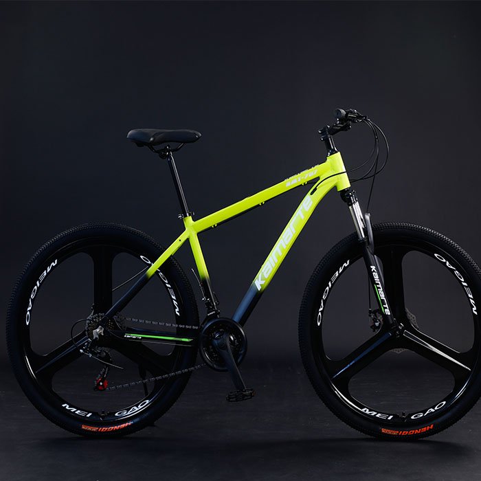 2021 New Model 29 Inch Mountain Bike China's Cheap Alloy Frame Bicicleta Mtb with Steel Fork & Disc Brake Speed Model Cycle