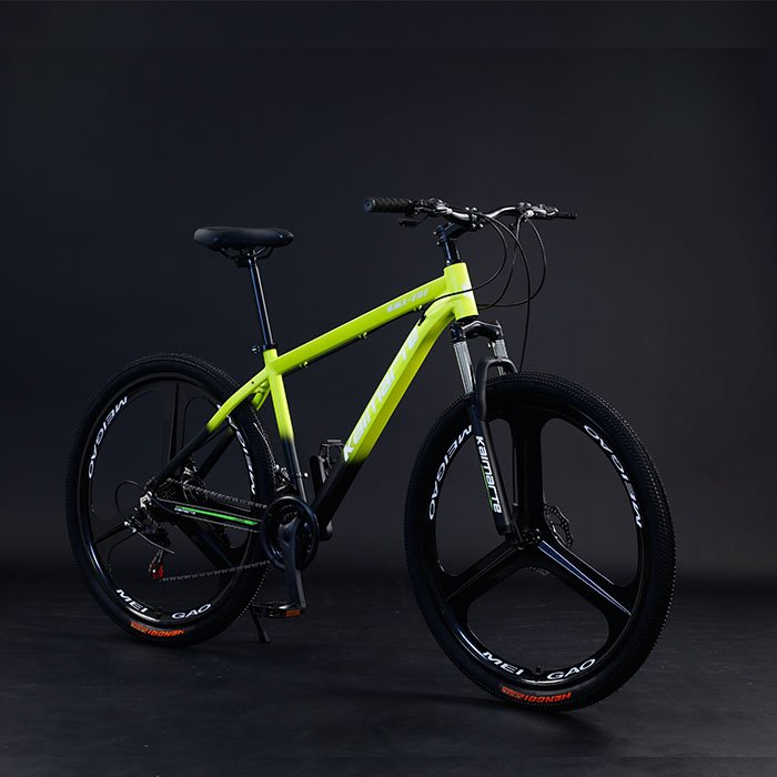 2021 New Model 29 Inch Mountain Bike China's Cheap Alloy Frame Bicicleta Mtb with Steel Fork & Disc Brake Speed Model Cycle